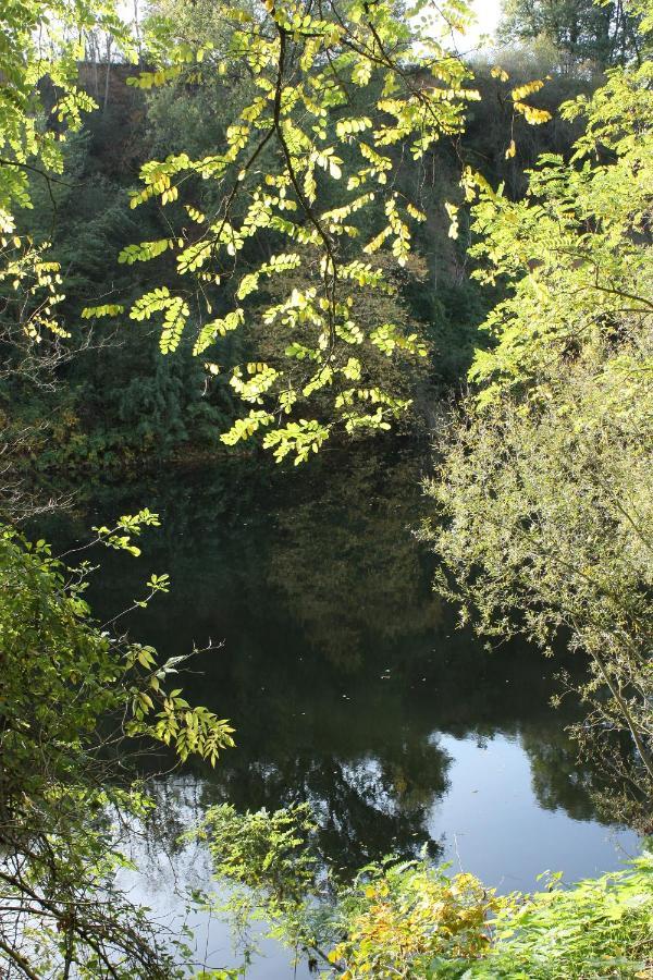 Les Milahinas Daire Lescure-dʼAlbigeois Dış mekan fotoğraf